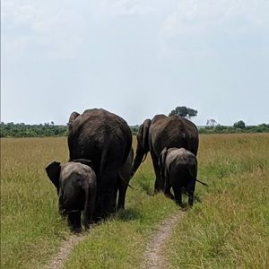 Meet your Posher, Lillie